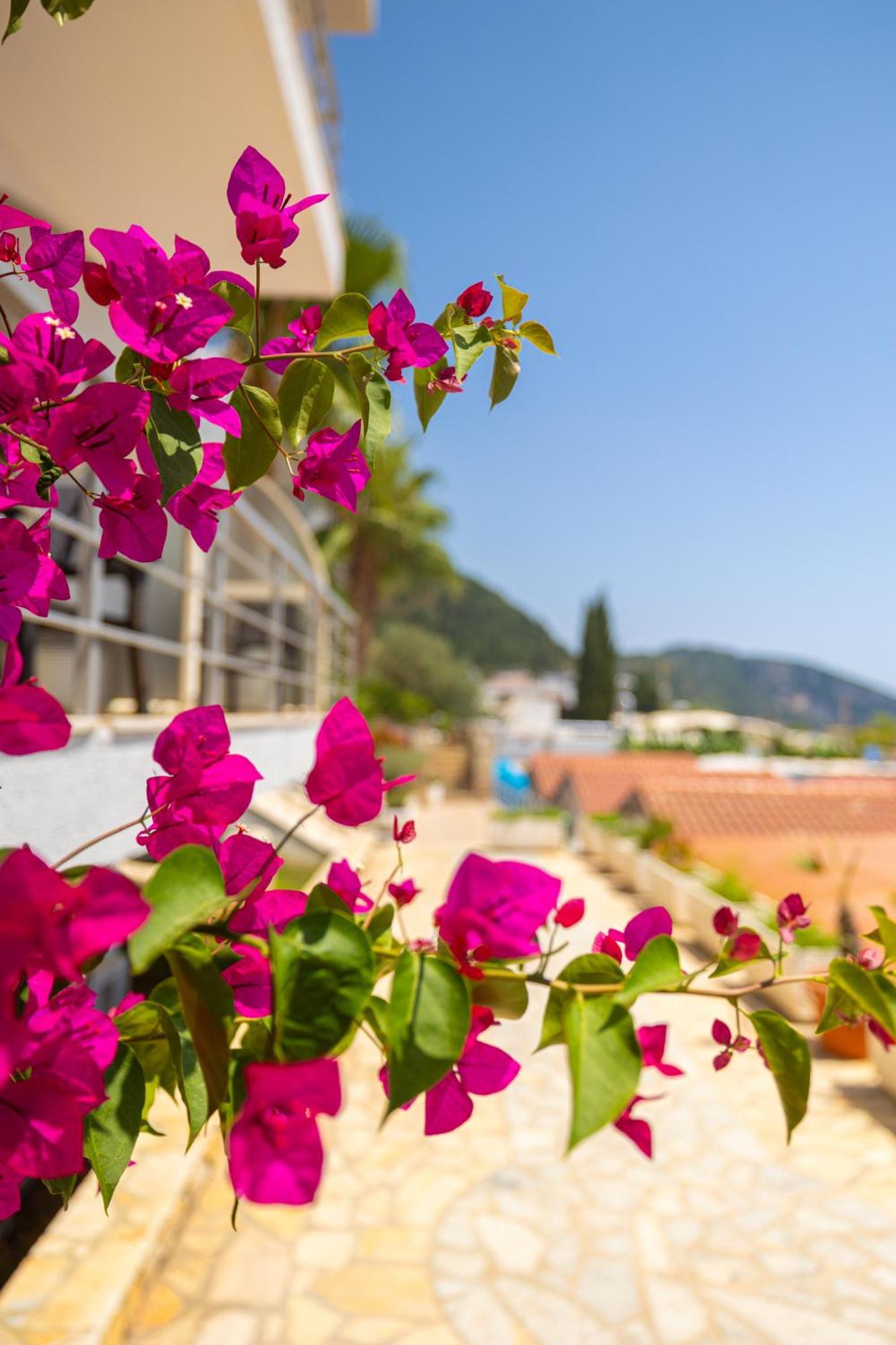 Royal Blue Hotel Dhërmi Dış mekan fotoğraf