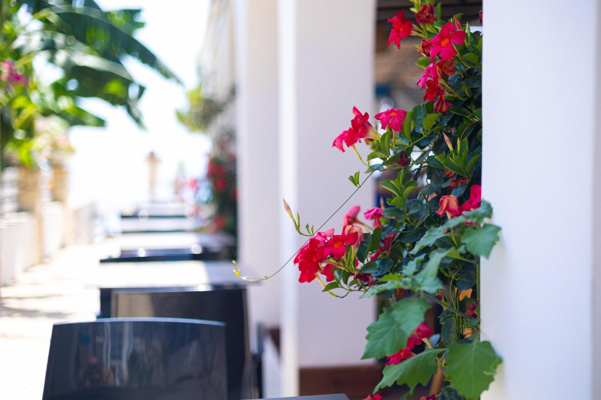 Royal Blue Hotel Dhërmi Dış mekan fotoğraf
